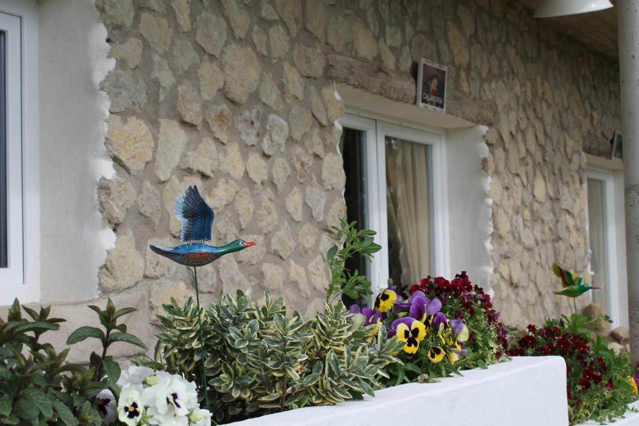 Hotel Mirador Las Grullas Montmesa 外观 照片